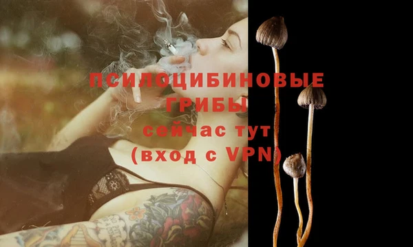 СК Видное