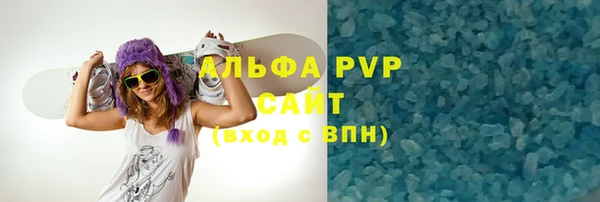 индика Ветлуга