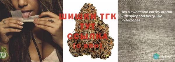 винт Нягань