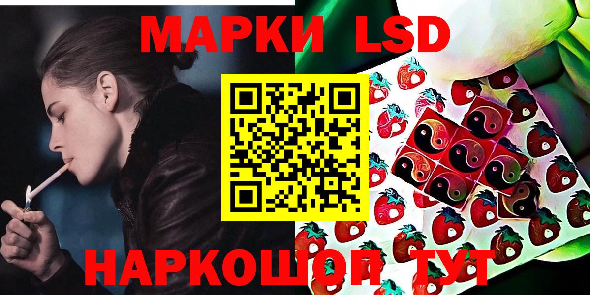 Губкинский  Марки N-bome 1,5мг  Вход с VPN 