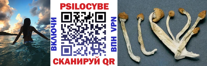 Галлюциногенные грибы GOLDEN TEACHER  Губкинский 