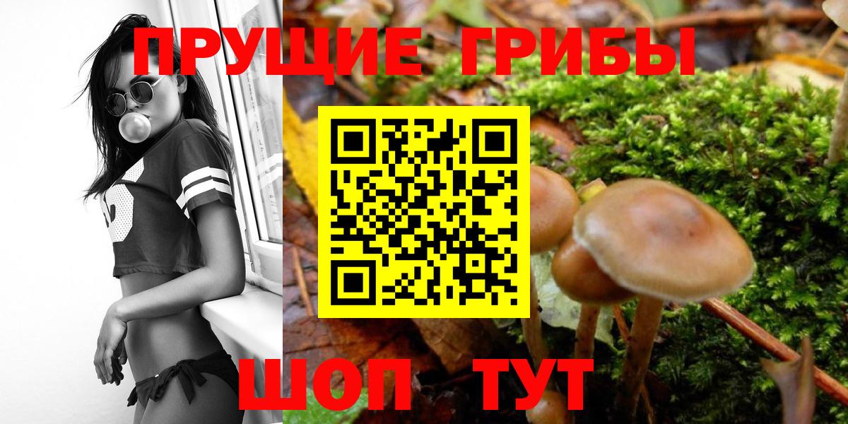 Псилоцибиновые грибы ЛСД  Губкинский 