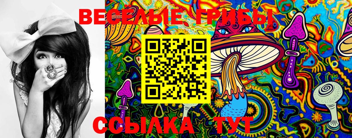 Псилоцибиновые грибы Magic Shrooms Губкинский
