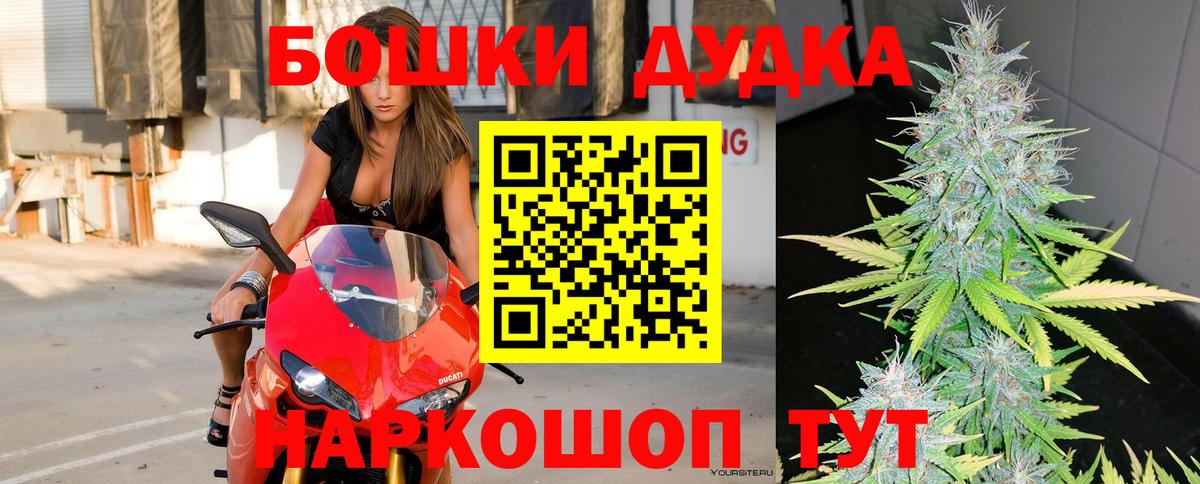 МАРИХУАНА гибрид Губкинский